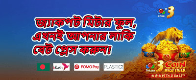 ভিআইপি মেগা বোনাস promotion banner